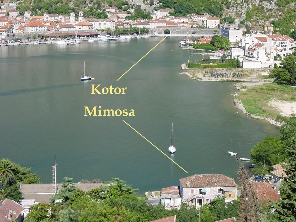 Apartment Mimosa Kotor Room photo